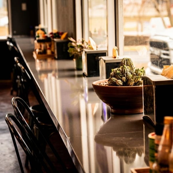A long, dark bar with stools and potted cacti, bathed in warm light from large windows.